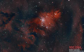 Cone Nebula and Christmas Tree Cluster