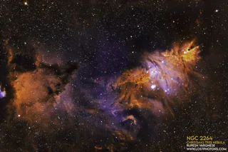 Cone Nebula and Christmas Tree Cluster
