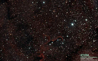 Elephant Trunk Nebula