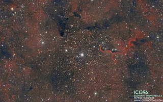 Elephant Trunk Nebula