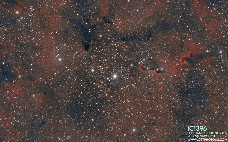 Elephant Trunk Nebula 2020