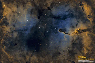 Elephant Trunk Nebula