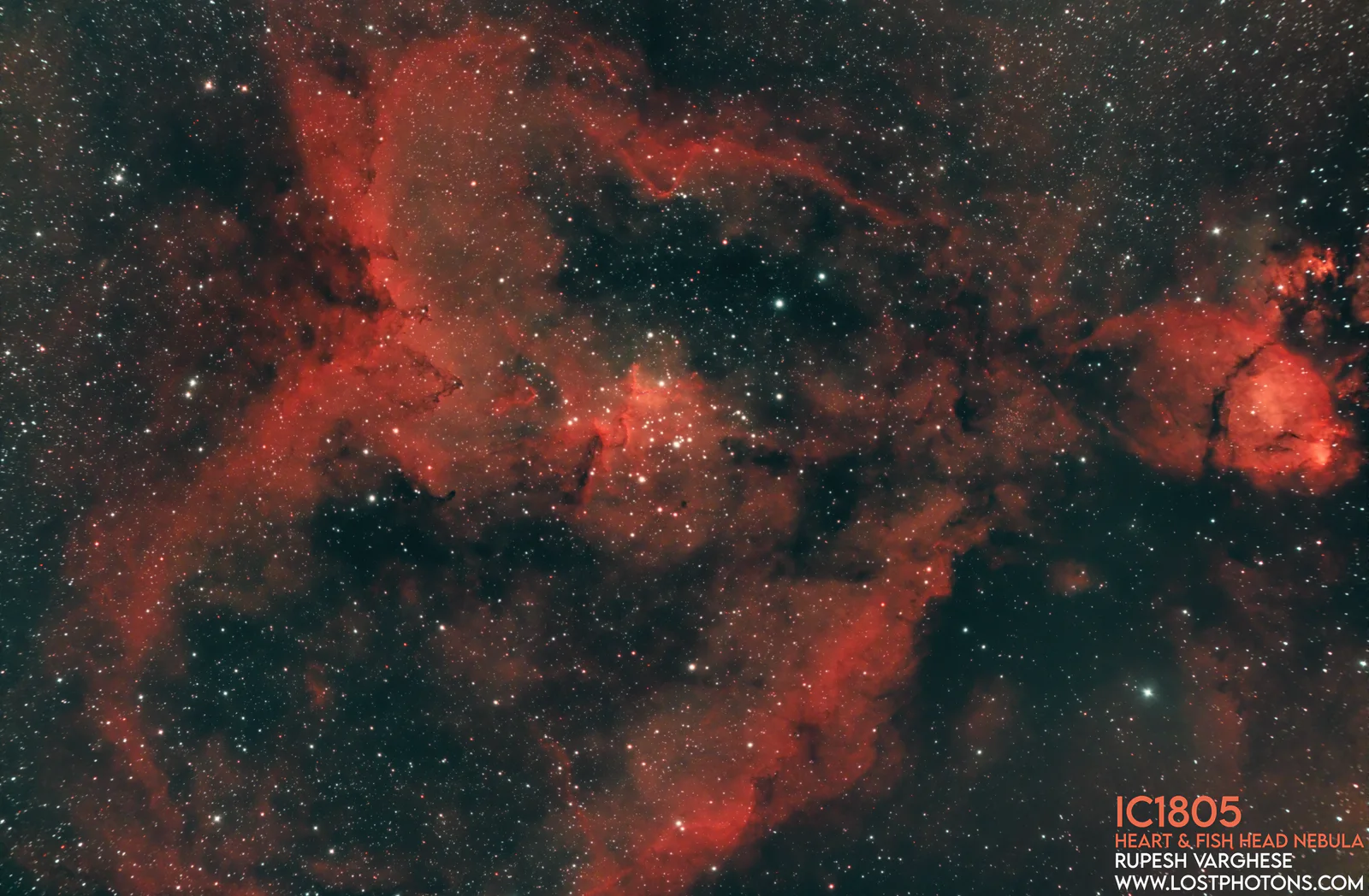 Heart Nebula - Ionized gas shaped by a young cluster