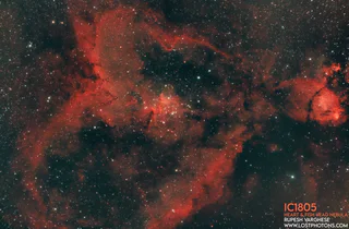 Heart Nebula