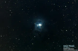 Iris Nebula
