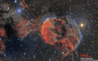 Jellyfish Nebula