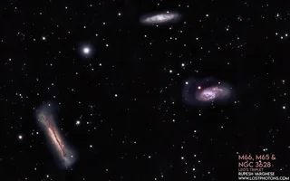 The Leo Triplet