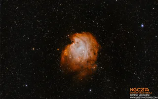 Monkey Head Nebula