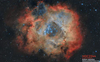 Rosette Nebula
