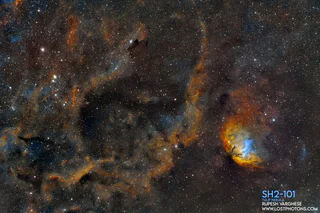 Tulip Nebula