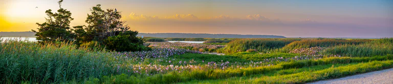 I2A5693 Pano Edit